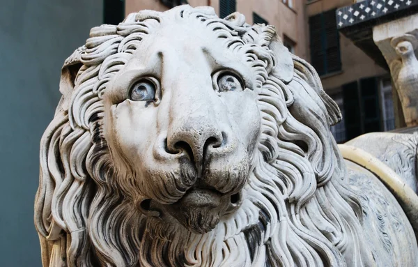 Statue Lion Cathédrale Saint Laurent Gênes Italie — Photo