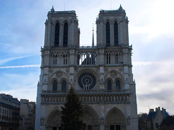 Notre Dame Katedrali Ile Noel Ağacı Paris Fransa — Stok fotoğraf