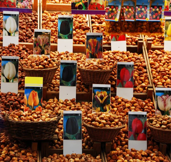 Venda Plantas Sementes Mercado Flores Amsterdã Holanda — Fotografia de Stock