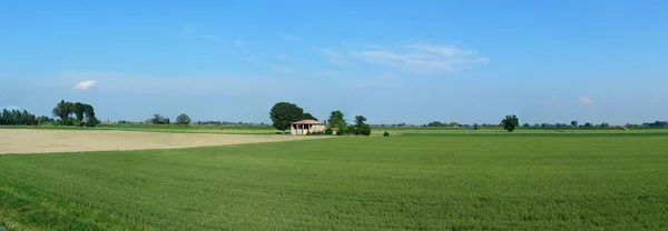 Panorama Van Povlakte Het Platteland Van Bologna Italië — Stockfoto