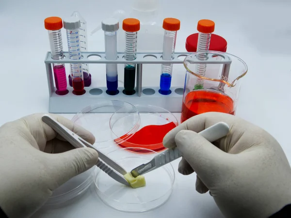 Laboratory Assistant Conducts Experiments White Background — Stock Photo, Image