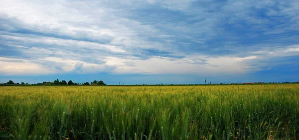 Panoramiczny Widok Dolinie Padu Pianura Padana Włochy — Zdjęcie stockowe