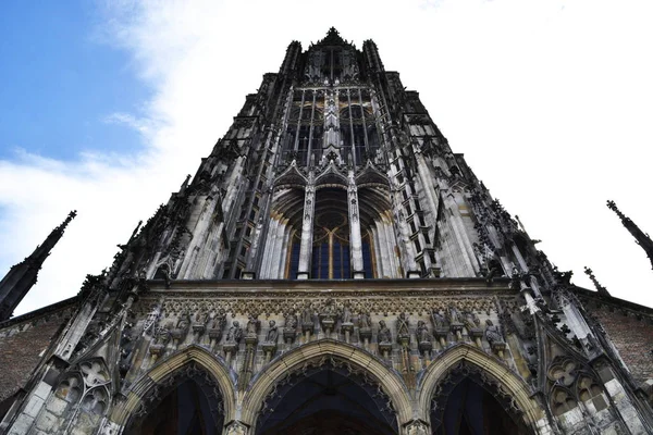 Kathedraal Van Ulm Beieren Duitsland — Stockfoto