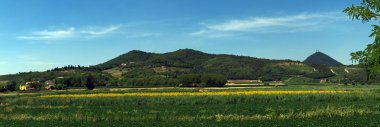 Panorama view of Colli Euganei, sunflower fields, Italy clipart