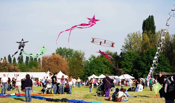 フェラーラ イタリア 2009年4月9日 国際凧祭り ヴランドラ フェラーラ イタリア — ストック写真