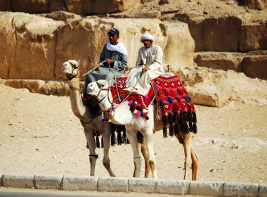 Kahire / Giza, Mısır - 7 Mayıs 2008 - Sahra çölünde deve binici. Piramitler yakınında bedevi ve deve.
