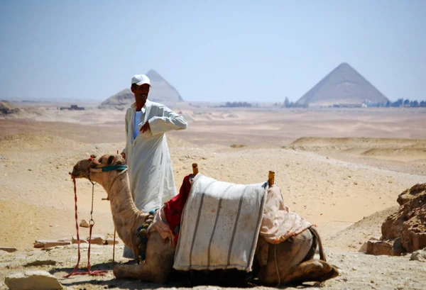 Kairo Giza Egypten Maj 2008 Camel Rider Öknen Sahara Bedouin — Stockfoto