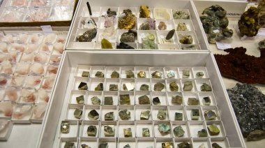 Bologna Mineral Show İtalya'da mineraller ve fosillerin en önemli sergisi.