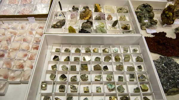 Bolonia Mineral Show Una Las Exposiciones Más Importantes Minerales Fósiles — Foto de Stock