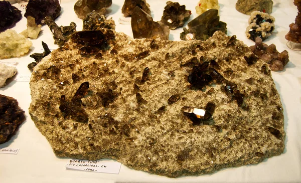 Bolonia Mineral Show Una Las Exposiciones Más Importantes Minerales Fósiles — Foto de Stock