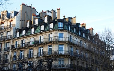 Paris 'in çatılarının manzarası.