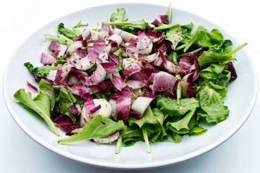 Beyaz arka planda izole edilmiş bir tabakta taze karışık salata.