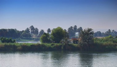 Nil nehrinin kıyı şeridi. Mısır Nil Gemisi