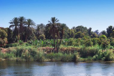 Nil nehrinin kıyı şeridi. Mısır Nil Gemisi