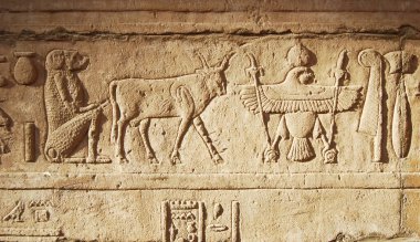 Edfu tapınağındaki antik hiyeroglifler. Mısır