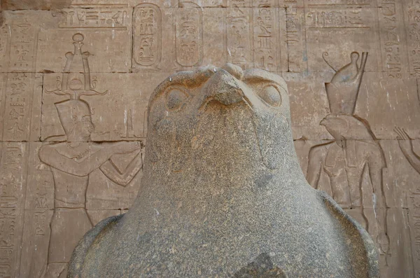 Antiga Estátua Egípcia Deus Falcão Hórus Templo Edfu Egipto — Fotografia de Stock