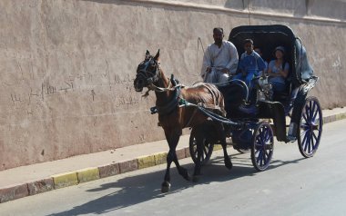 Edfu / Aswan, Mısır - 10 Mayıs 2008: At arabası Edfu tapınağına turist götürüyor. Mısır
