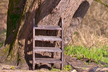 old wooden ladder from a ship is stranded at a coastal area
