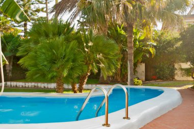 Palmiye bahçeli yüzme havuzu