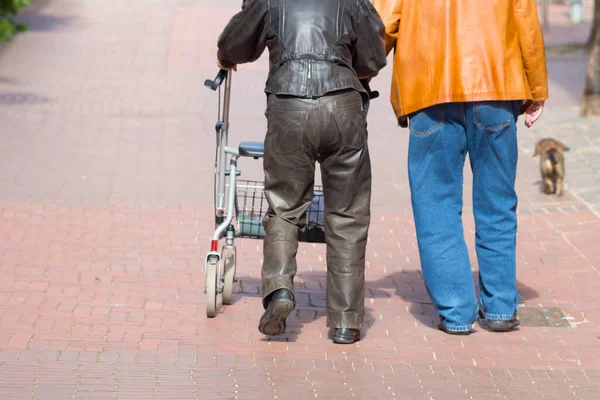 Ein Paar Mit Spaziergänger Und Hund — Stockfoto