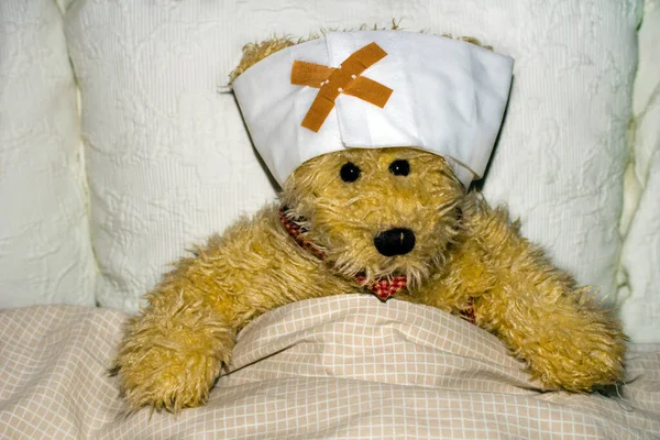 Teddy hasta yatıyordu. .
