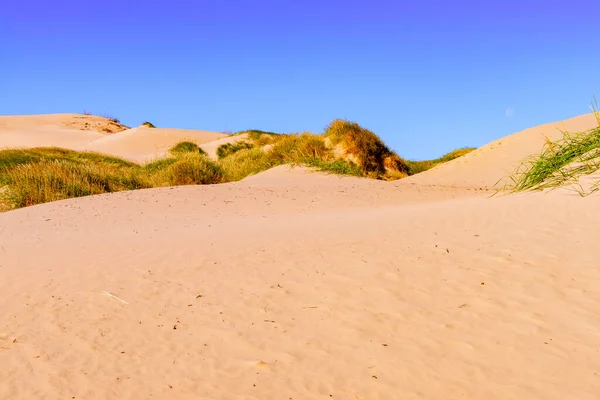 Het Duinlandschap Rubjerg Knude Denemarken — Stockfoto