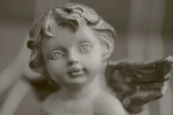 Little Angel Black White Stock Photo