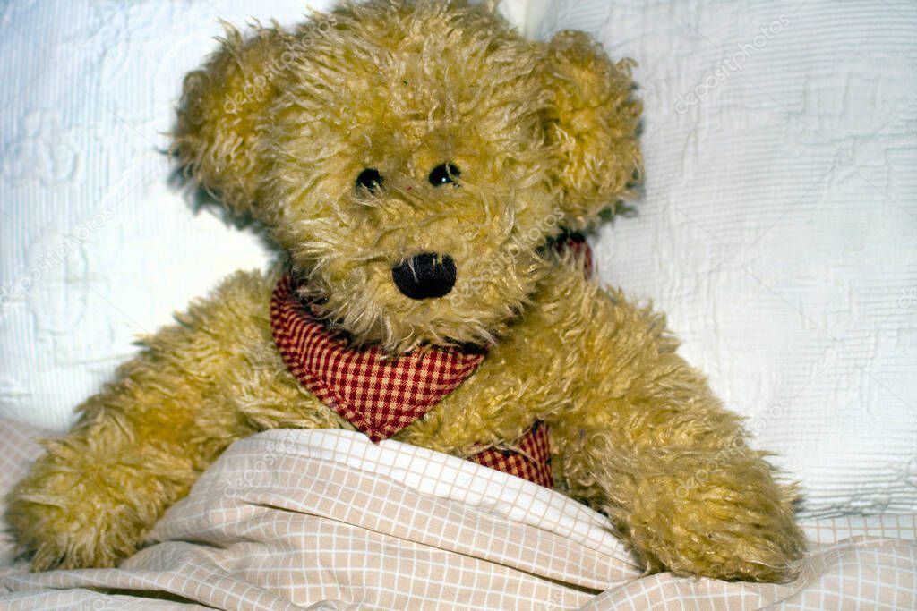 Teddy lying sick in bed .