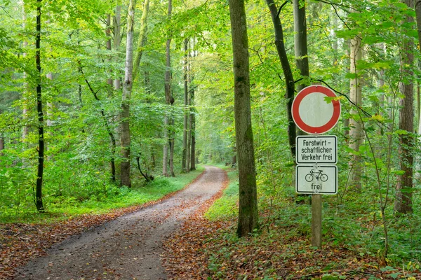 Sentiero Forestale Con Cartello Divieto — Foto Stock