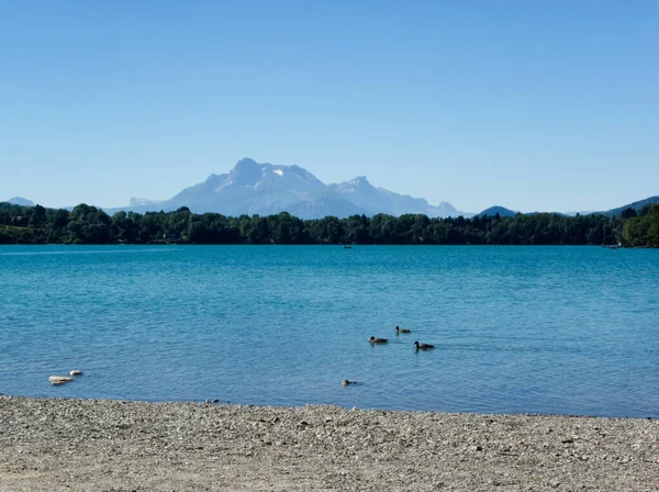 背景にアヒルや山とプチェの湖の素晴らしい景色 — ストック写真