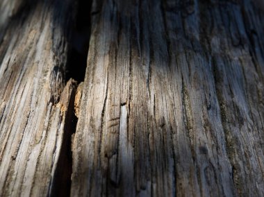 Işıklandırma ve gölge efektlerini vurgulamak için makro içerikli eski ahşap desen resmi 