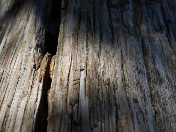 Işıklandırma ve gölge efektlerini vurgulamak için makro içerikli eski ahşap desen resmi 