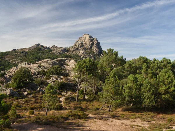 Korsika 'daki Alta Rocca dağlarında gökyüzünün altındaki kayaların ve ağaçların manzarası.