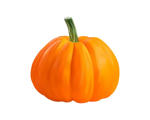 Vektör çizim ile gerçekçi kavun meyve. Tasarım mutfak ürünleri, baharat paketleri, kitap vb yemek tarifi Web siteleri için