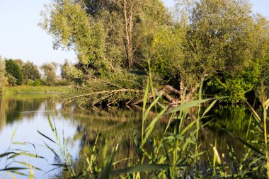 Işık yolları ile sakin bir nehir su yüzeyinde yansımasıdır. Parlama.
