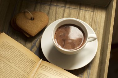 Kakao içeceği, kitap, tarçın ve çikolata