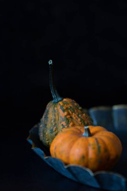 İki küçük sonbahar dekoratif Cadılar Bayramı kabağı eski bir tabakta ve koyu bir arka planda. Dikey, boşluğu kopyala