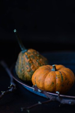 İki küçük sonbahar dekoratif Cadılar Bayramı kabağı eski bir tabakta ve koyu bir arka planda. Dikey, boşluğu kopyala