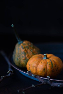İki küçük sonbahar dekoratif Cadılar Bayramı kabağı eski bir tabakta ve koyu bir arka planda. Dikey, boşluğu kopyala