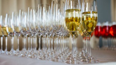 Masada şampanya bardakları