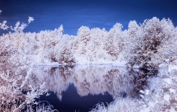 infrared photo. Russian provinces. Summer.