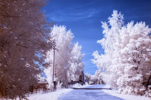 Infrarood Foto Russische Provincies Zomer — Stockfoto