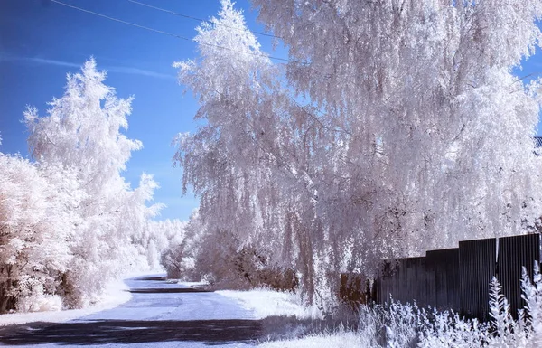 infrared photo. Russian provinces. Summer.