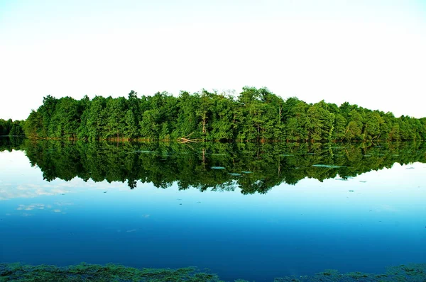 In de overstromingsvlakte — Stockfoto