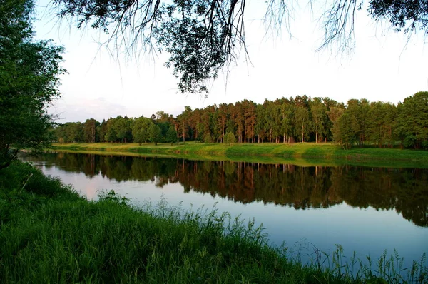 In the flood plain — Stock Photo, Image