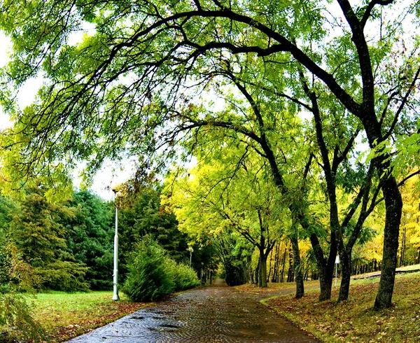 キスロヴォツク近くの山の上の公園の秋 Russia 2017 — ストック写真