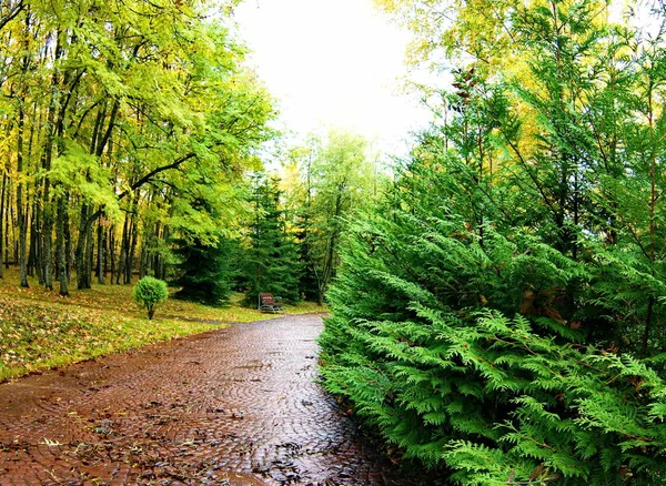 キスロヴォツク近くの山の上の公園の秋 Russia 2017 — ストック写真