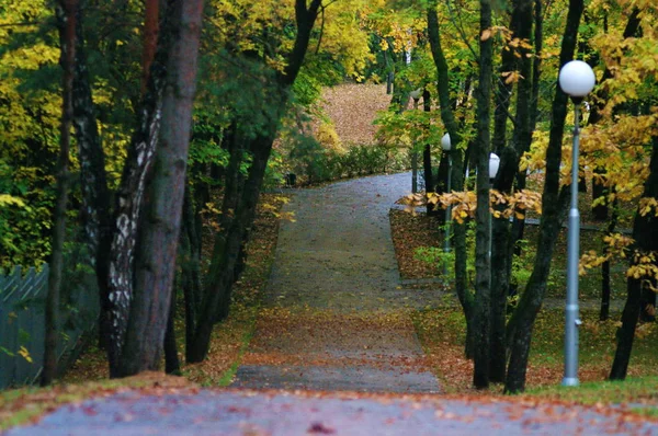 Jesień Parku Górze Pobliżu Kisłowodzk Russia 2017 — Zdjęcie stockowe