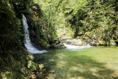 Nehir ve çağlayan su ormanda harikalar yolunda, Ticino kantonu