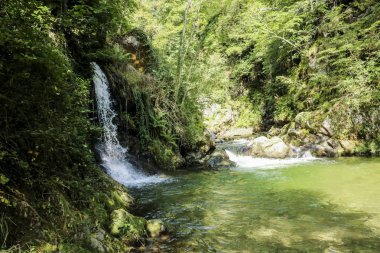 Nehir ve çağlayan su ormanda harikalar yolunda, Ticino kantonu